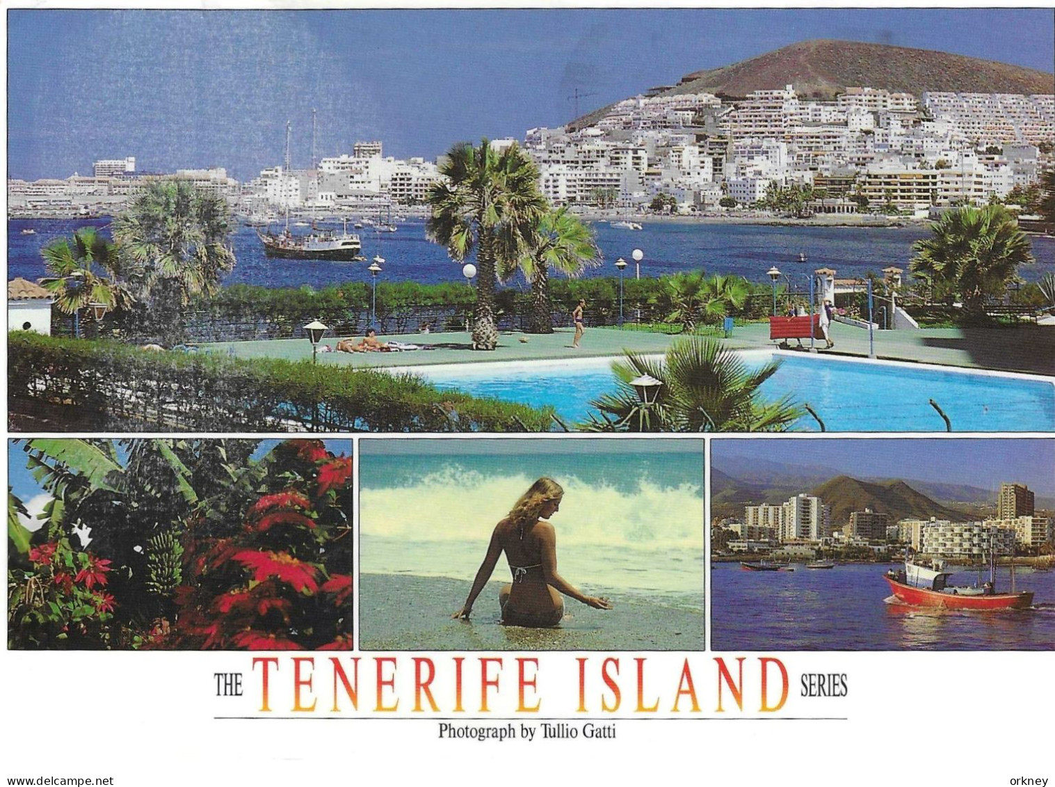 Spanje 7 Tenerife - Tenerife