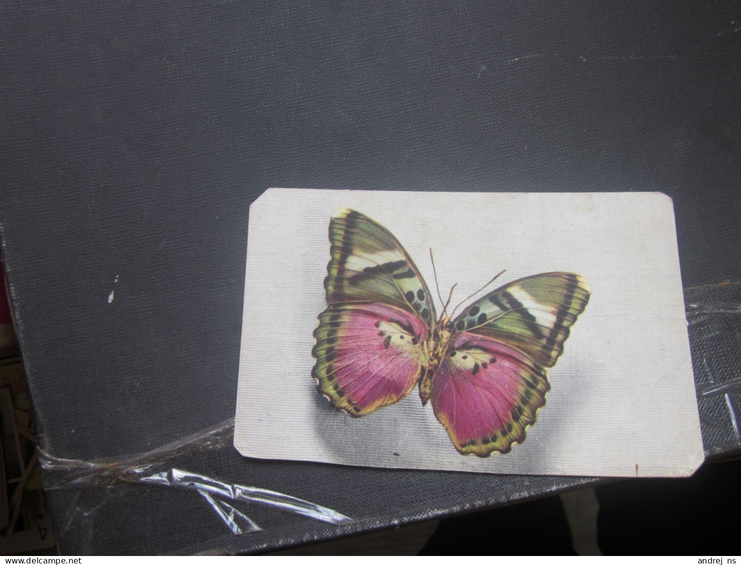 Butterfly Edite Par Le Comite National De L Enfance Cethosia - Papillons