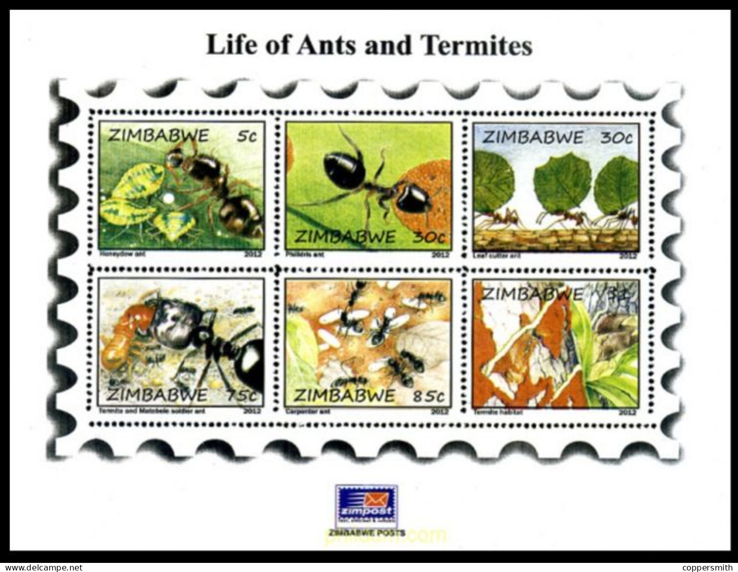 (052) Zimbabwe  2012 / Fauna / Animals / Ants Sheet / Bf / Bloc Termites / Ameisen  ** / Mnh  Michel BL 33 - Zimbabwe (1980-...)