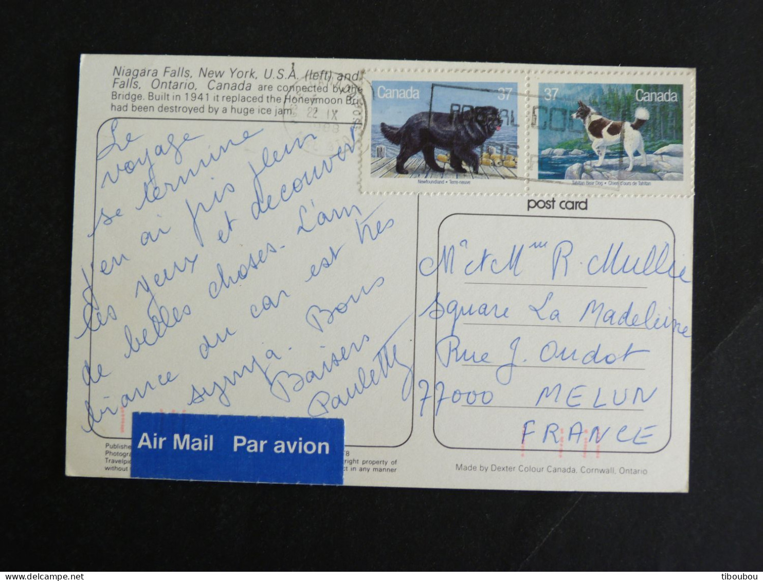 CANADA AVEC YT 1058 ET 1061 SE TENANT DOG CHIEN D'OURS DE TAHLTAN TERRE NEUVE - NIAGARA FALLS - Storia Postale