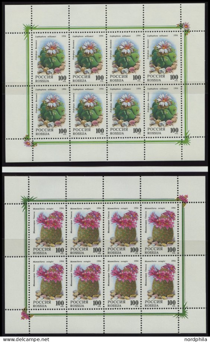 SAMMLUNGEN, LOTS , Komplette Postfrische Sammlung Russland Von 1992-95 Im KA-BE Album Mit Diversen Kleinbogen Und Zusamm - Collezioni