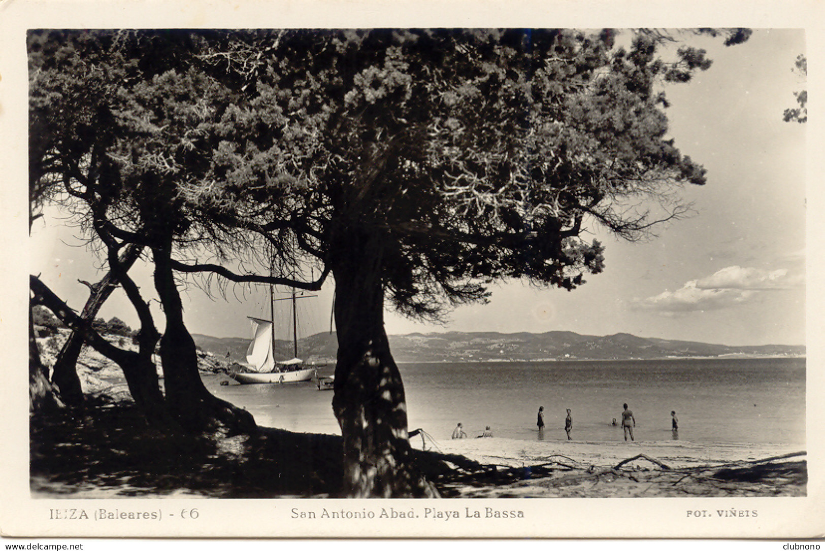 CPSM - IBIZA - SAN ANTONIO ABAD. PLAYA LA BASSA (1953) - Ibiza