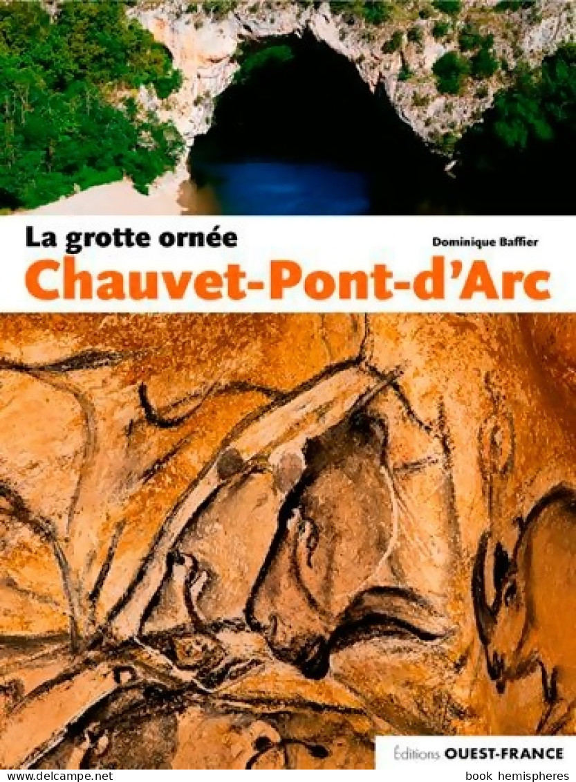 La Grotte Ornée Chauvet-Pont-d Arc (2016) De Dominique Baffier - Histoire