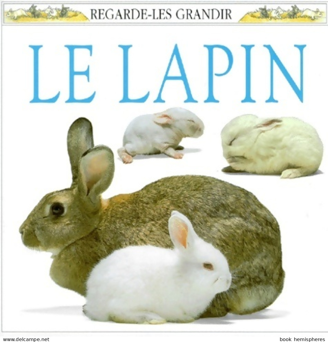 Le Lapin (2000) De Barrie Watts - Animales