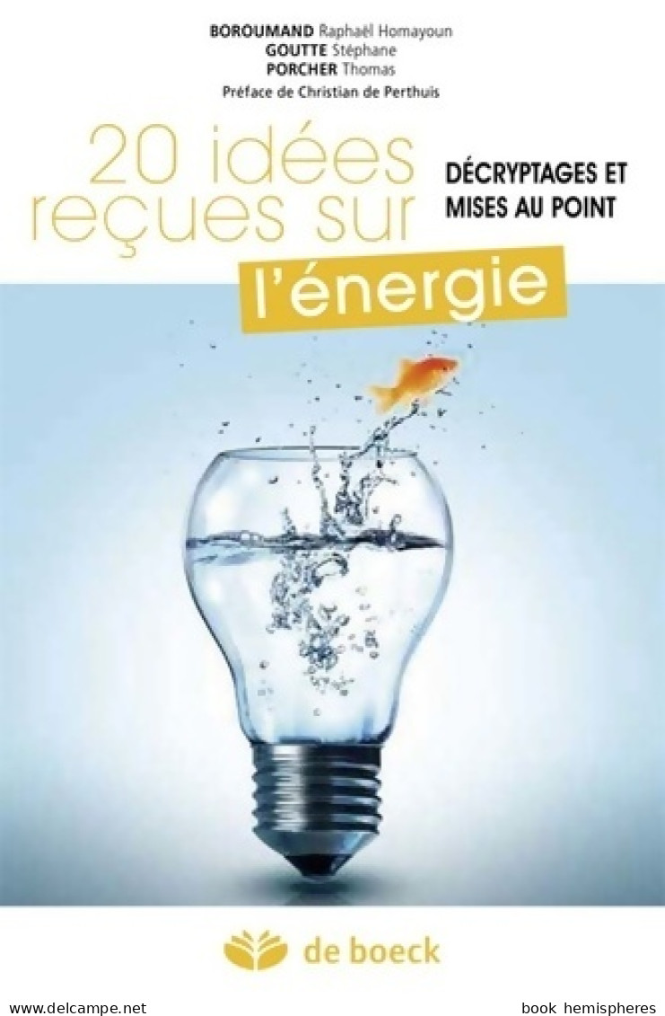 20 Idées Reçues Sur L'énergie (2015) De Raphaël Homayoun Boroumand - Nature