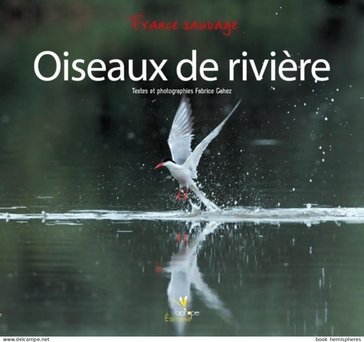 Oiseaux De Rivière (2013) De Fabrice Cahez - Tiere