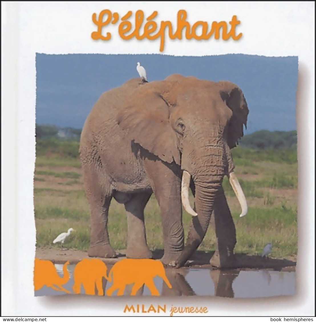 L'éléphant (2004) De Natacha Fradin - Autres & Non Classés