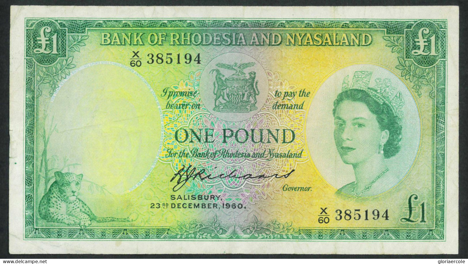 P3047 - RHJODESIA AND NYASALAND 1960 1 POUNDCAT. PICK 21 B VF. - Other - Europe