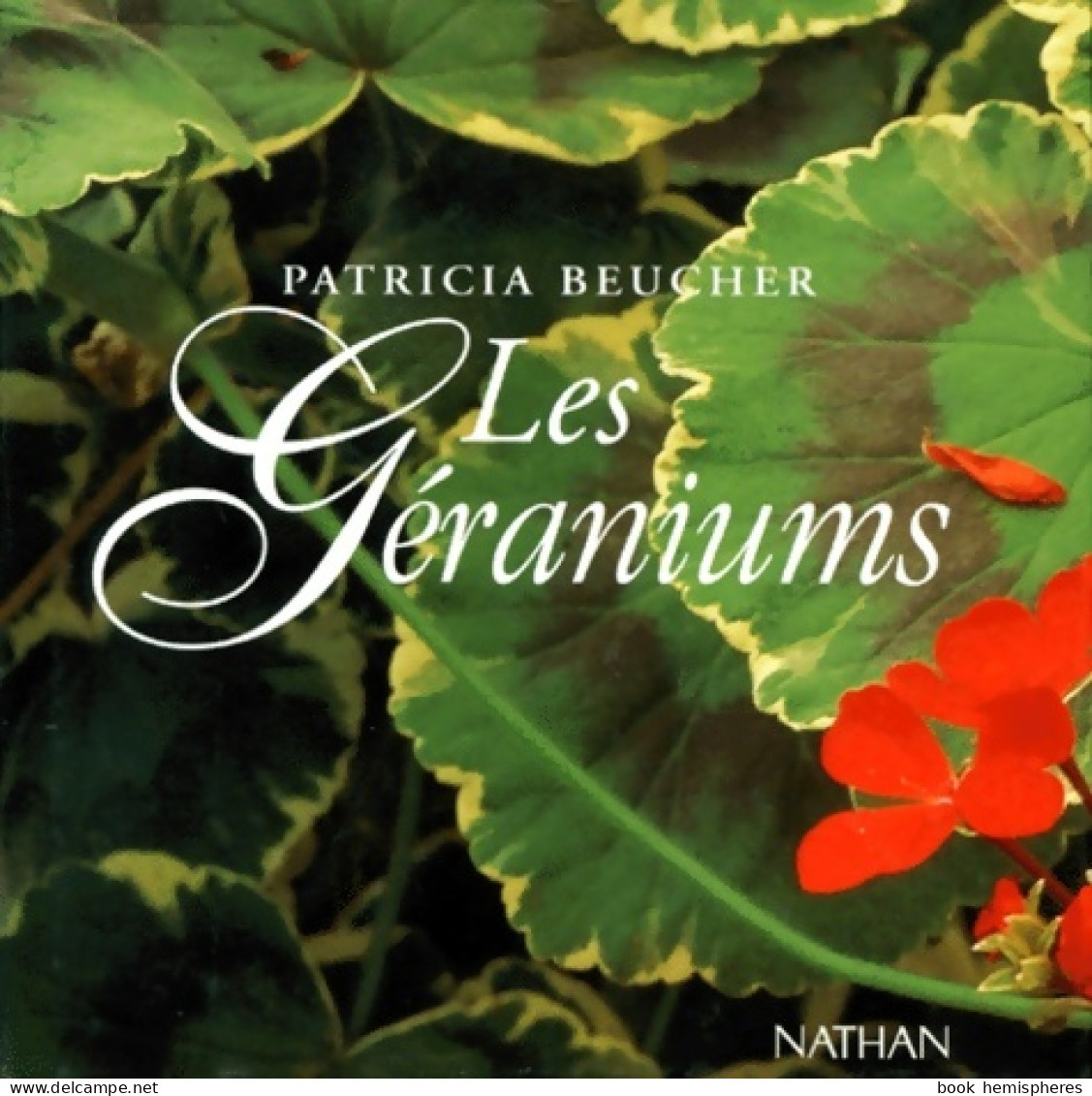 Les Géraniums (1997) De Patricia Beucher - Garten