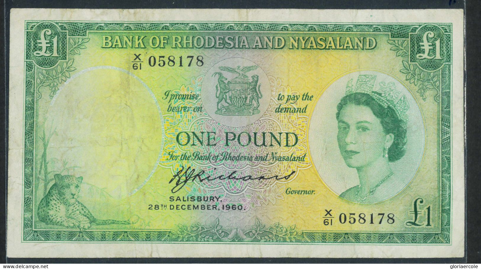 P3048 - RHJODESIA AND NYASALAND 1960 1 POUNDCAT. PICK 21 B , GOOD CONDITION - Other - Africa