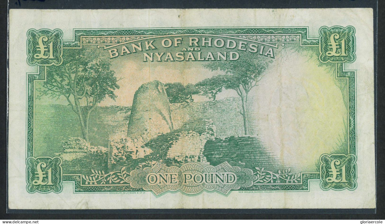 P3048 - RHJODESIA AND NYASALAND 1960 1 POUNDCAT. PICK 21 B , GOOD CONDITION - Altri – Africa