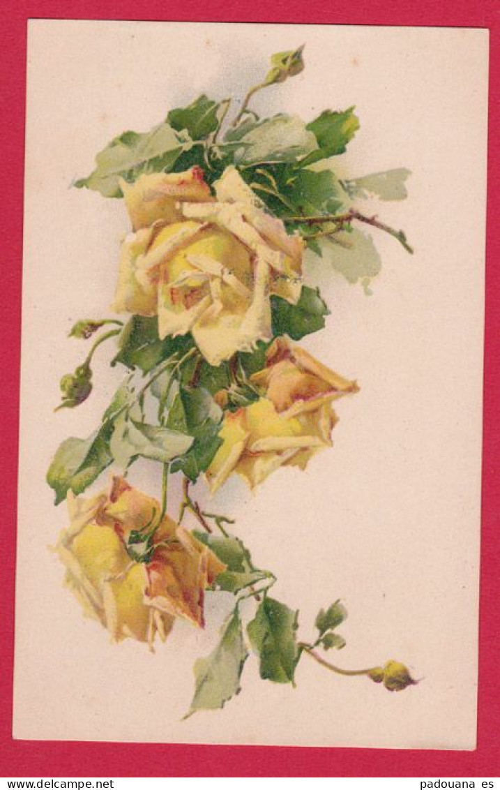 A160 FANTAISIES FLEURS ROSES THE AQUARELLE C.KLEIN NON SIGNEE PRECURSEUR - Vlinders