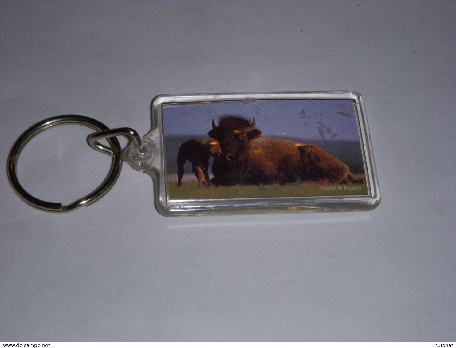 PORTE CLEFS 22 ANNEAU PHOTO BISON Et Son PETIT DIMENSION Environ 6x4cm PLASTIQUE - Key-rings