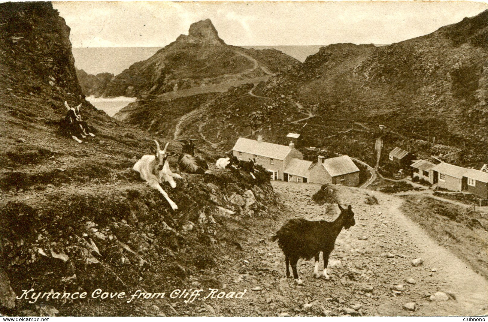 CPA -  KYNANCE COVE FROM CLIFF ROAD - Other & Unclassified