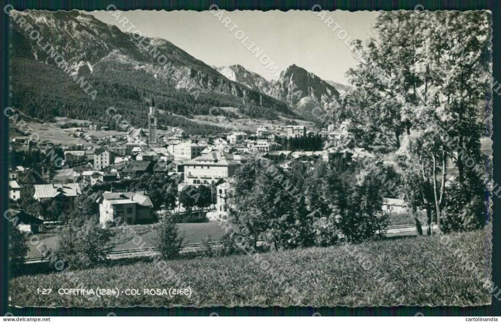 Belluno Cortina Col Rosa Foto Cartolina KB3873 - Belluno