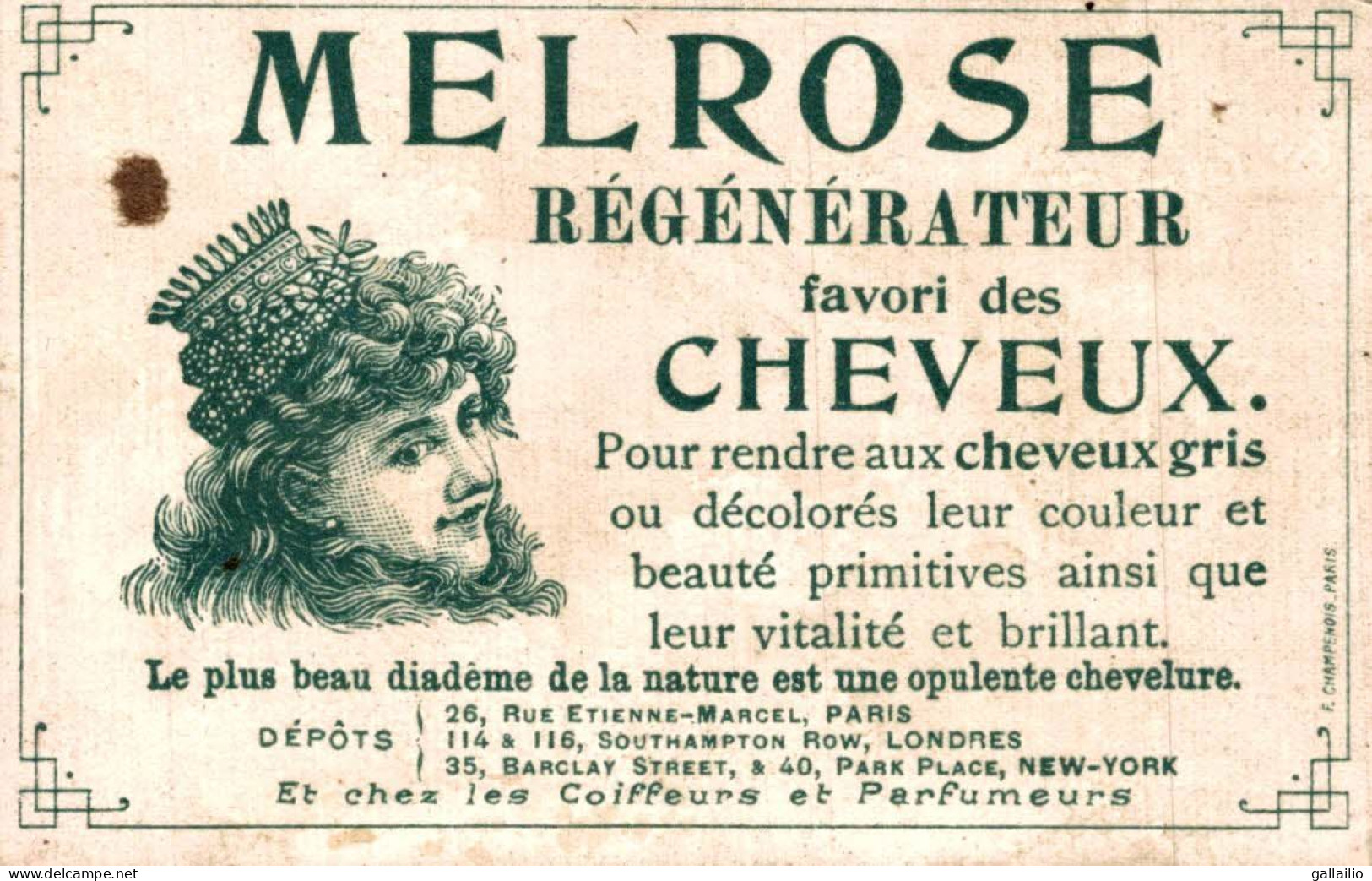 CHROMO REGERATEUR DE CHEVEUX MELROSE - Otros & Sin Clasificación