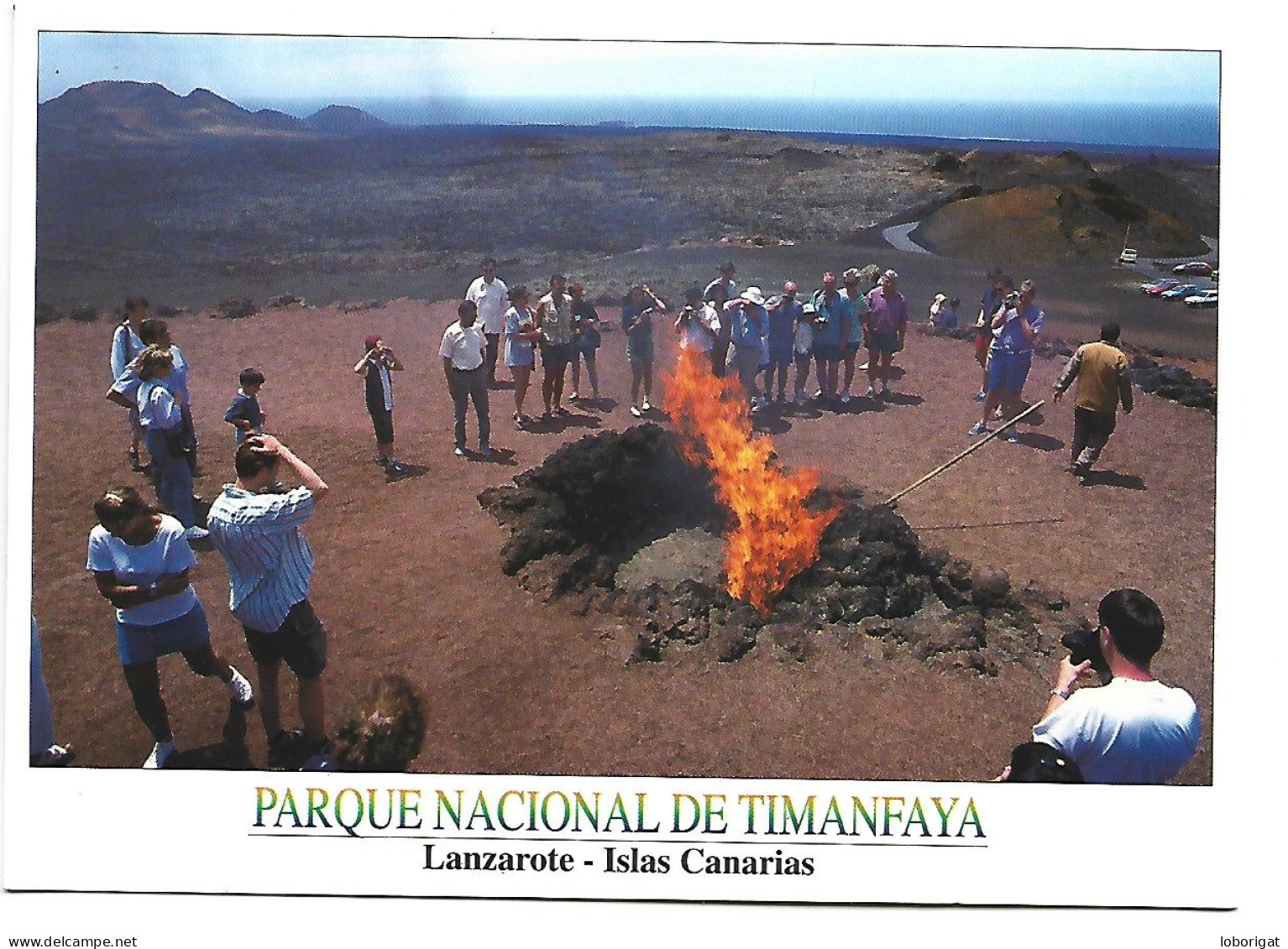 PARQUE NACIONAL DE TIMANFAYA.- MONTAÑA DE FUEGO - ISLA DE LANZAROTE / ISLAS CANARIAS.- ( ESPAÑA ). - Lanzarote