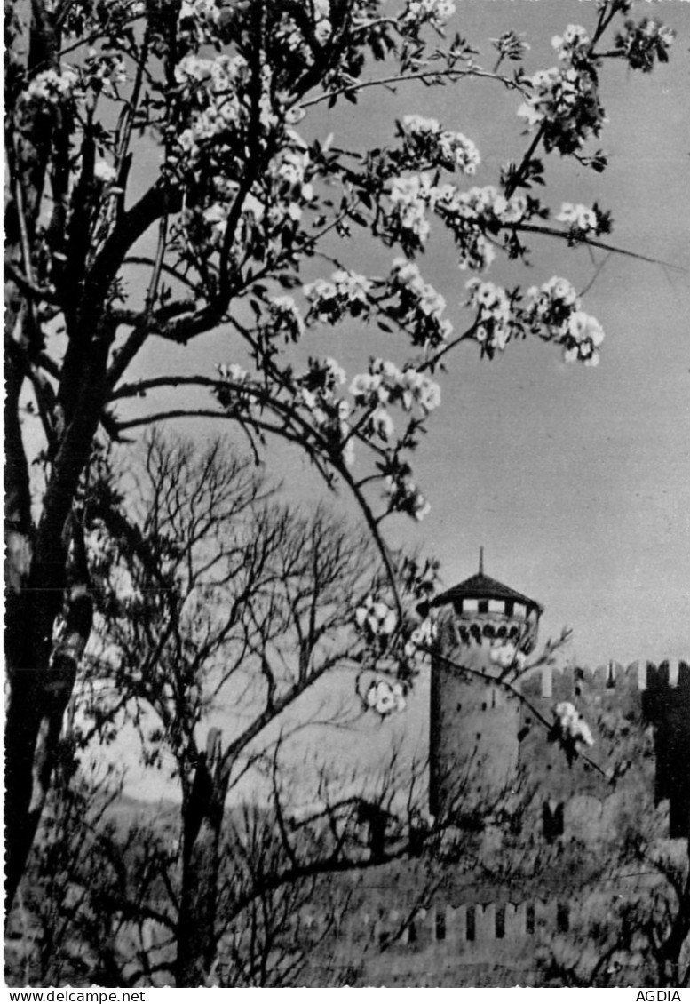 LOT - 7 CARTES - ARBRE  EN  FLEURS - ITALIE - 5 - 99 Postcards