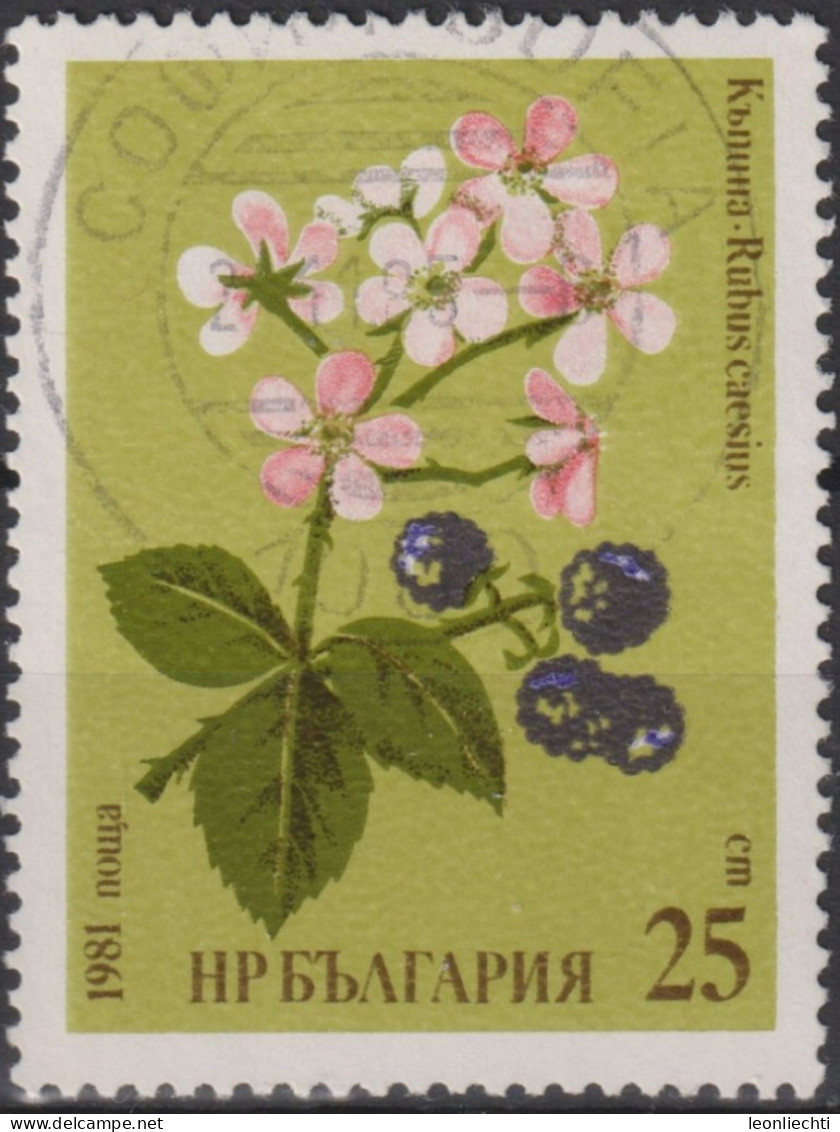 1981 Bulgarien ° Mi:BG 2966, Sn:BG 2731, Yt:BG 2604, Sg:BG 2915, Blackberry (Rubus Caesius) - Oblitérés