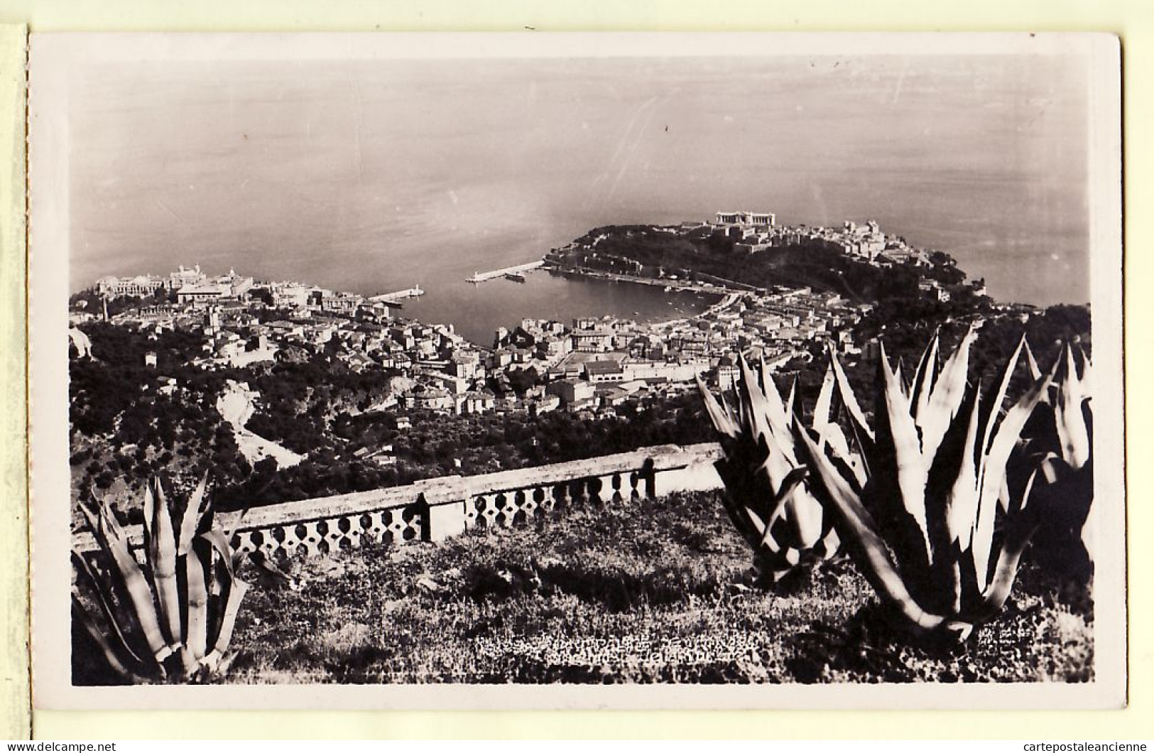 00835 ● PRINCIPAUTE De MONACO Vue Prise De La TURBIE Cactus Aloes 08.08.1949 - Photo Véritable CAP 3 MONTE CARLO - Monte-Carlo