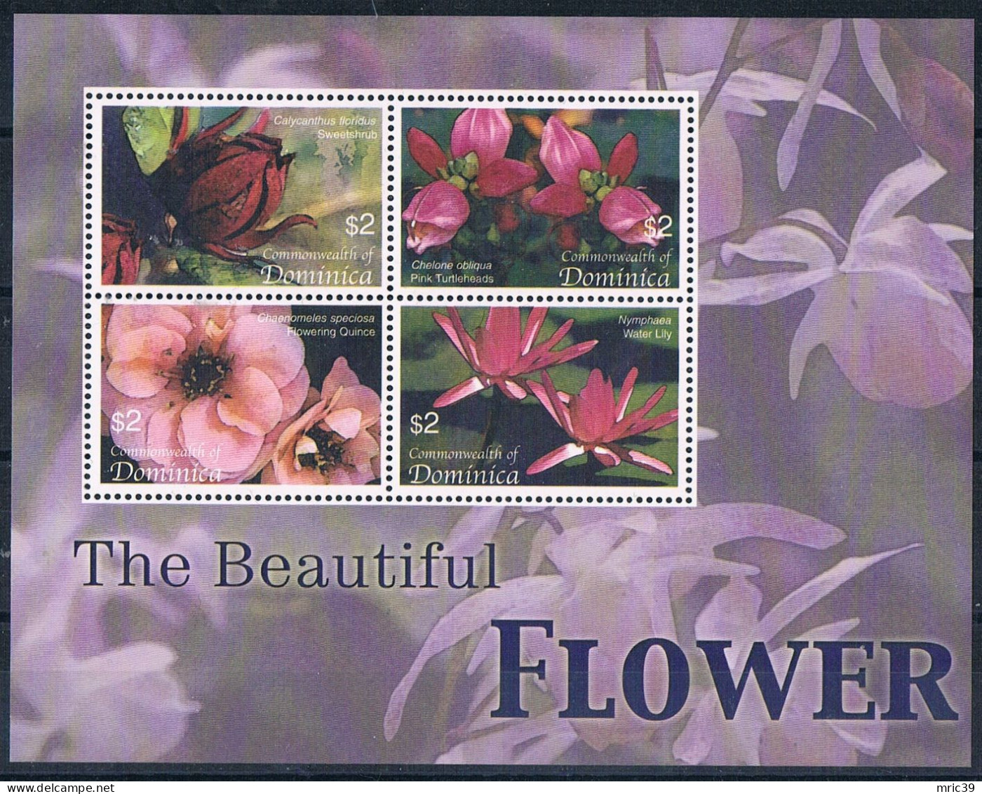 Bloc Sheet Fleurs  Flowers   Neuf  MNH **   Dominica 2005 - Autres & Non Classés