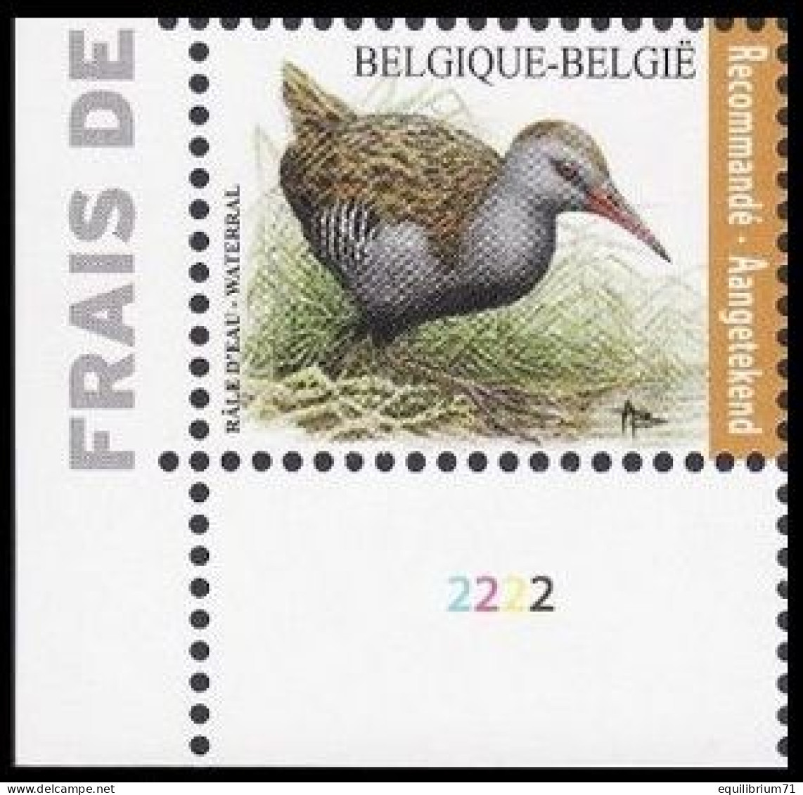 4671** PLANCHE II - Râle D'eau / Water Rammelaar - BUZIN - BELGIQUE / BELGIË / BELGIEN - RECOMMANDÉ / AANGETEKEND - 1985-.. Oiseaux (Buzin)
