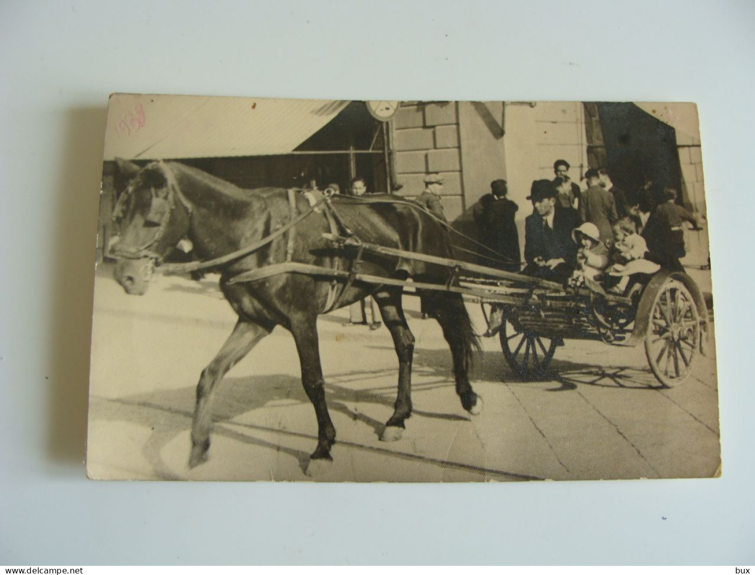 UOMO MAN   CALESSE CON CARROZZA   CAVALLO CHEVAL  FORMATO PICCOLO FOTOGRAFICA - Uomini