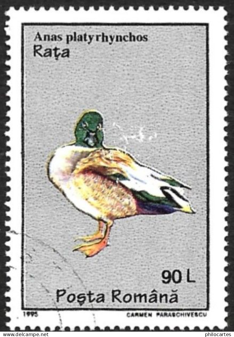 ROUMANIE 1995 - YT 4269 - Canard - Oblitéré - Gebruikt