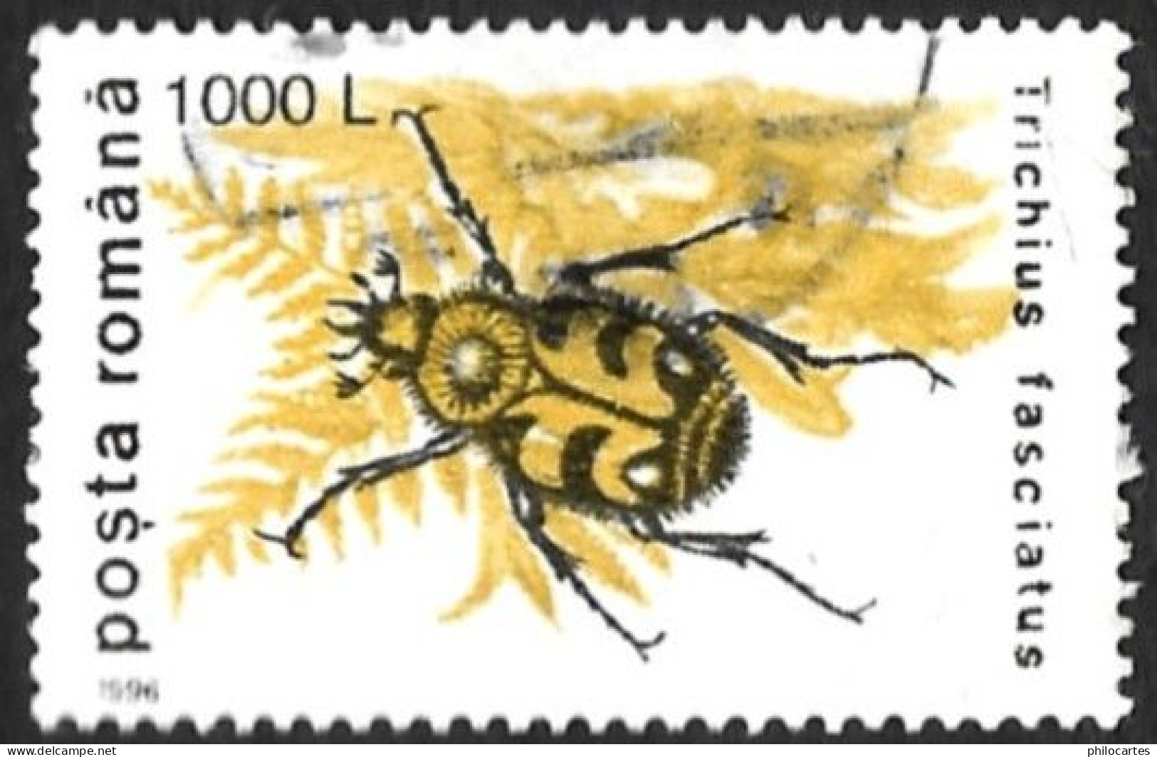 ROUMANIE 1996 - YT 4317 - Trichius Fasciatus Insecte - Oblitéré - Used Stamps