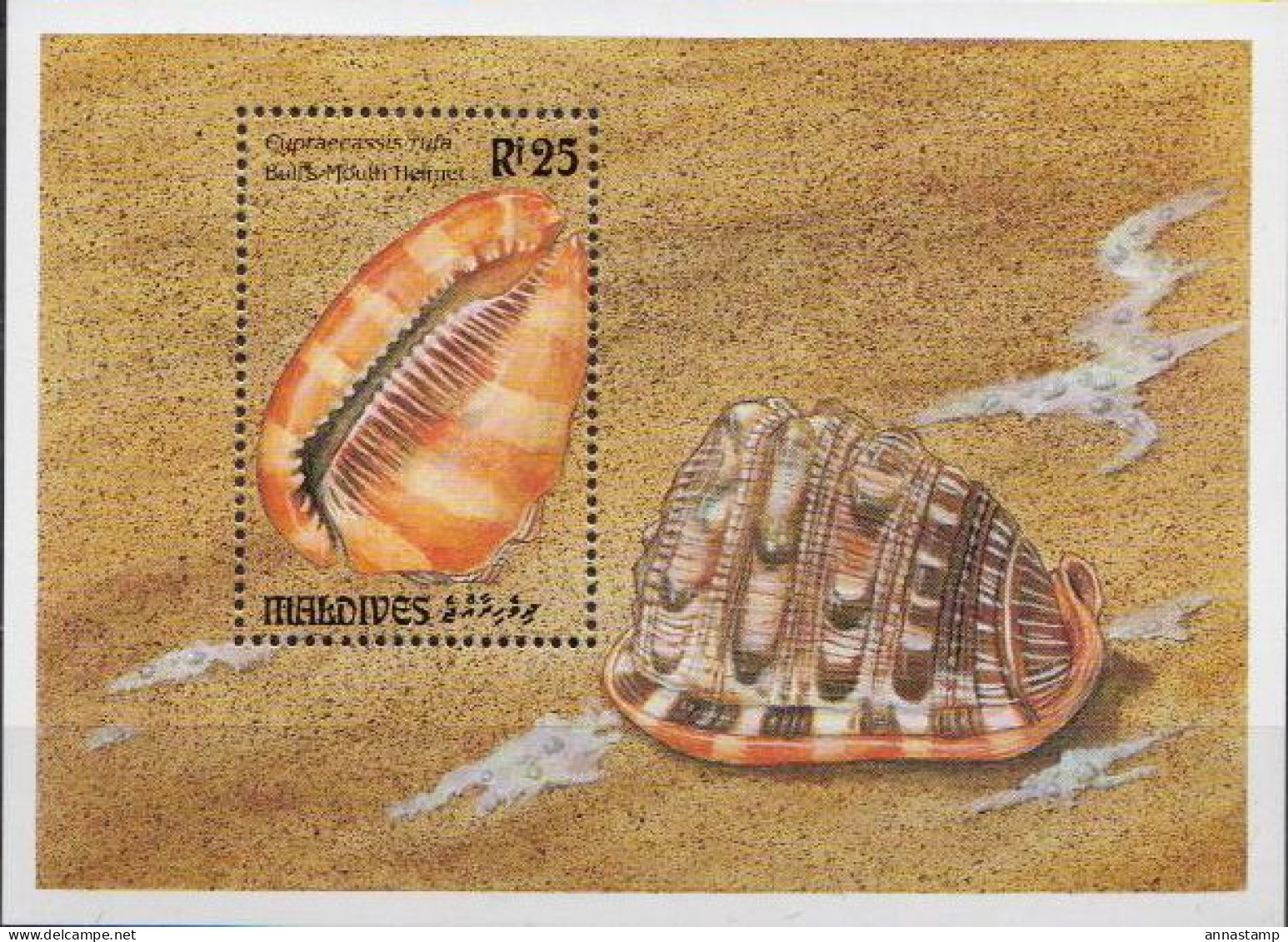 Maldives MNH SS - Conchas