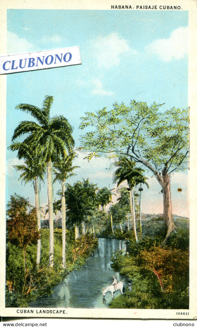 CPA - CUBA - HABANA - PAISAJE CUBANO (1) - Kuba