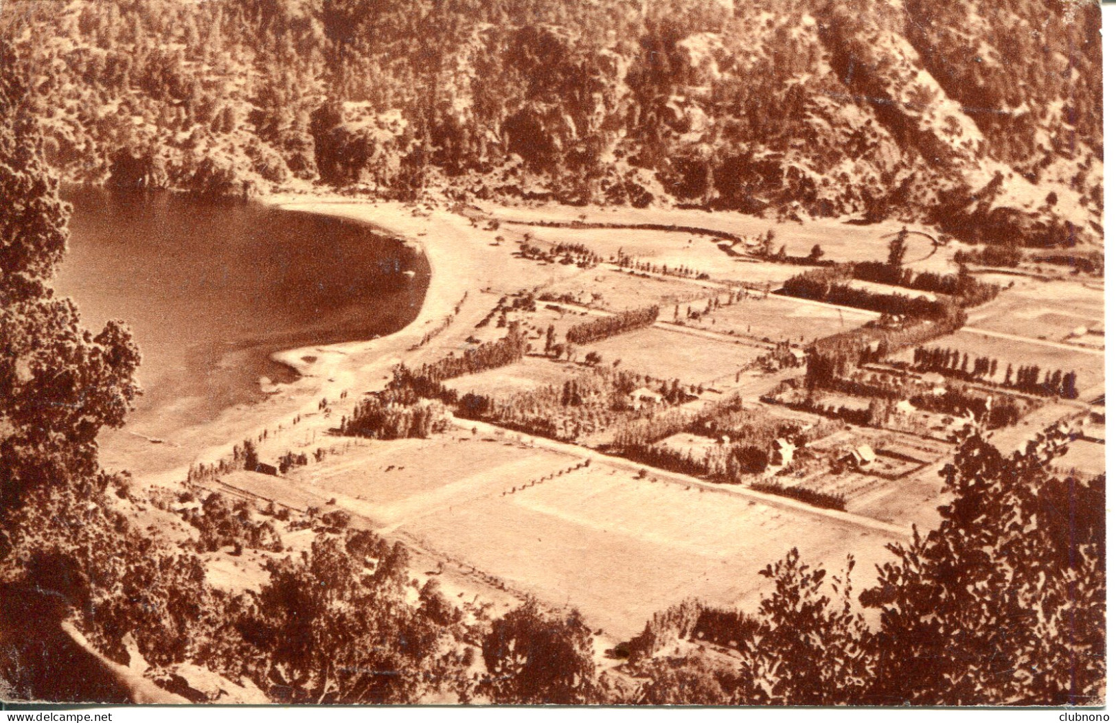 CPA - SAN MARTIN DE LOS ANDES - PARQUE NACIONAL LANIN - Argentina