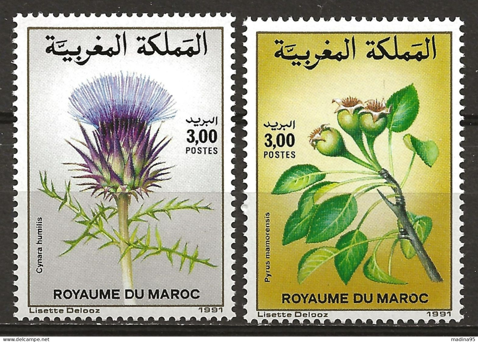 MAROC: **, N° YT 1102  Et 1103, TB - Marokko (1956-...)