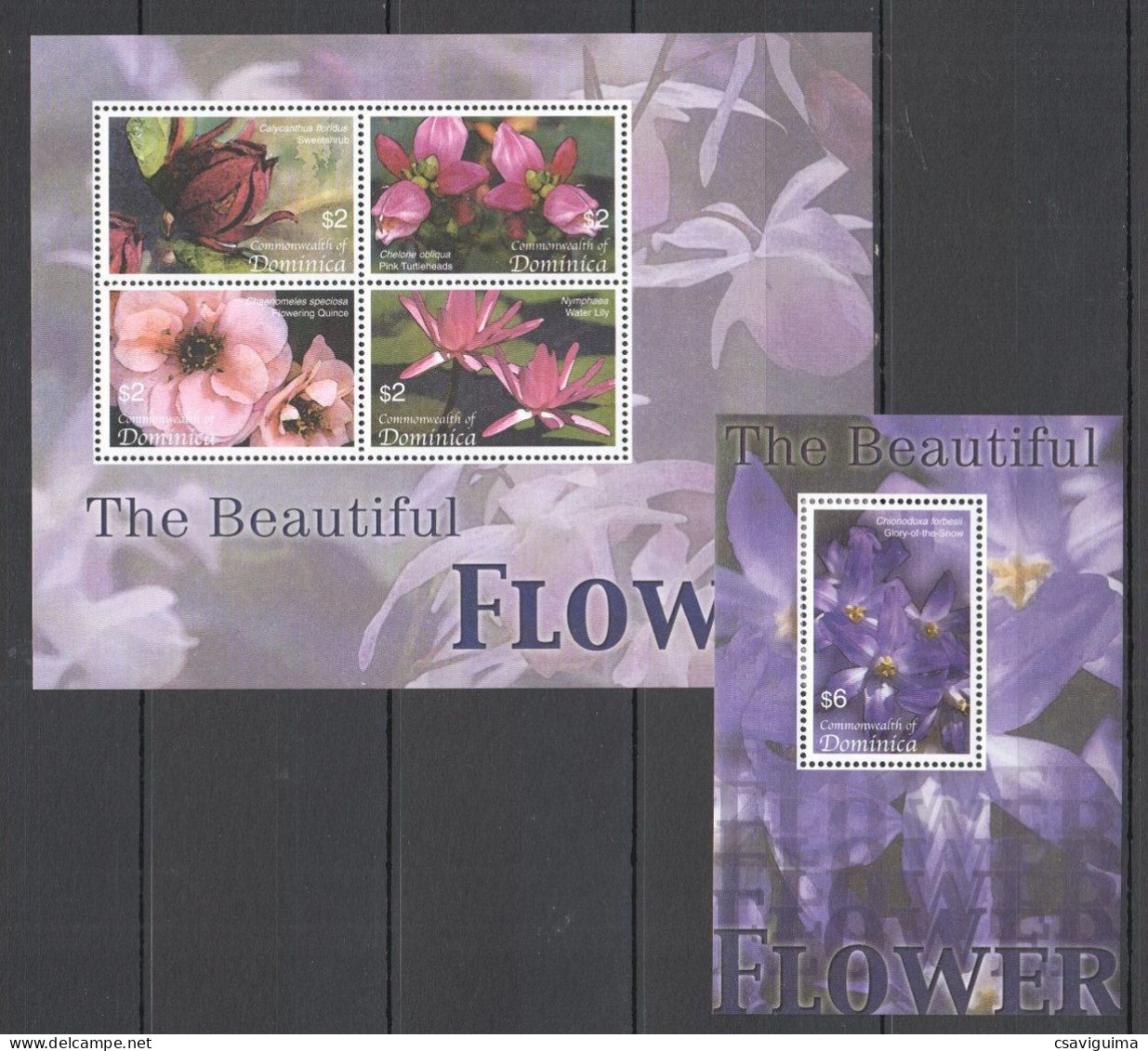 Dominica - 2005 - The Beautiful Flower - Yv 3151/54 + Bf 503 - Other & Unclassified