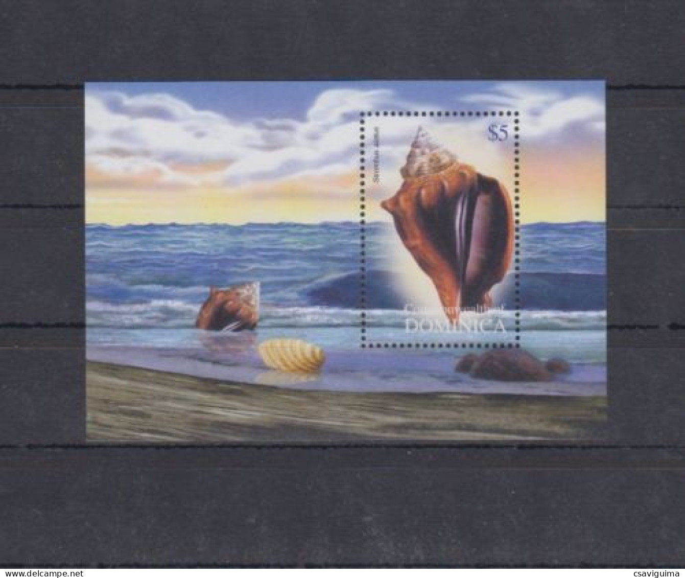 Dominica - 2004 - Shells - Yv Bf 491 - Conchas