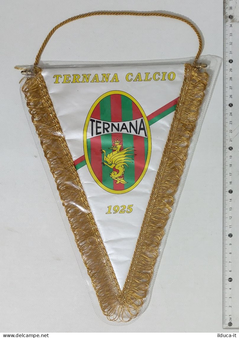 69690 Calcio - GAGLIARDETTO Ternana Calcio 1925 - Habillement, Souvenirs & Autres