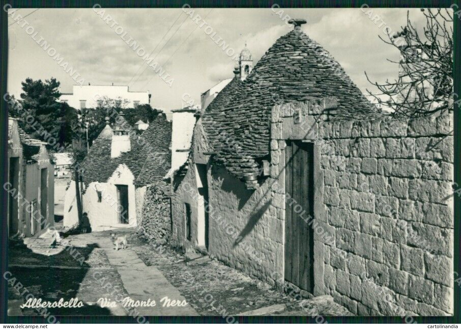 Bari Alberobello Trulli Foto FG Cartolina KB3974 - Bari