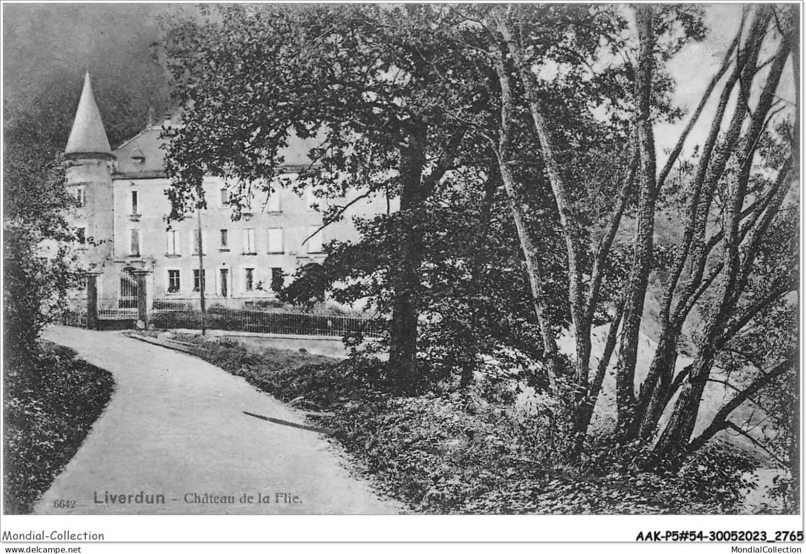 AAKP5-54-0408 - LIVERDUN - Château De La Flie - Liverdun