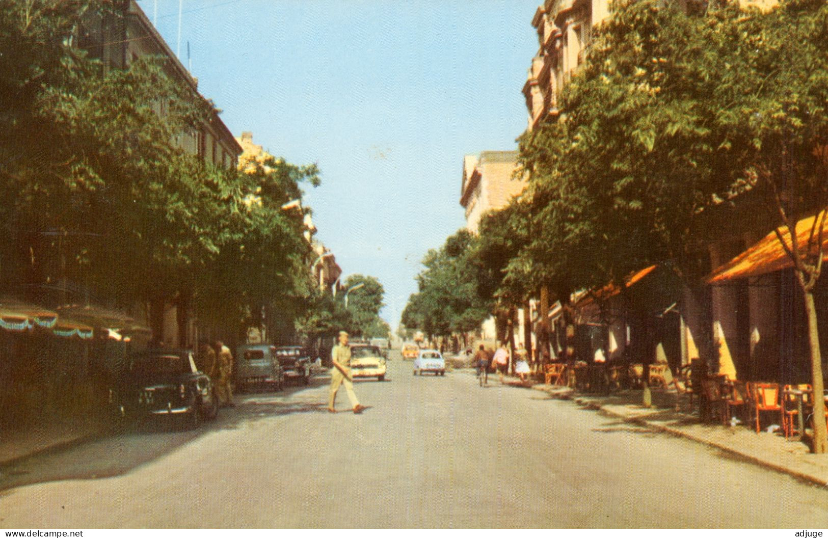 Algérie- SÉTIF-Avenue Georges Clémenceau 1961- Animation Commerces *TBE 2 Scans - Setif