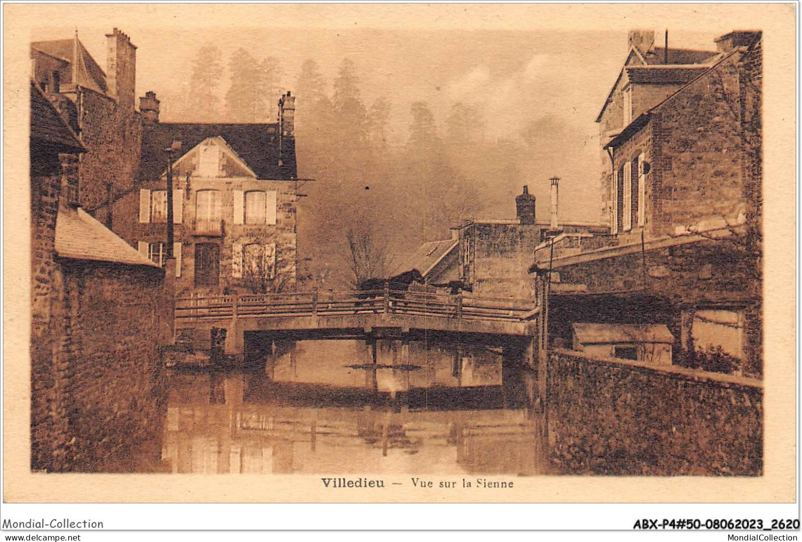 ABXP4-50-0299 - VILLEDIEU - Vue Sur Les Siennes - Villedieu