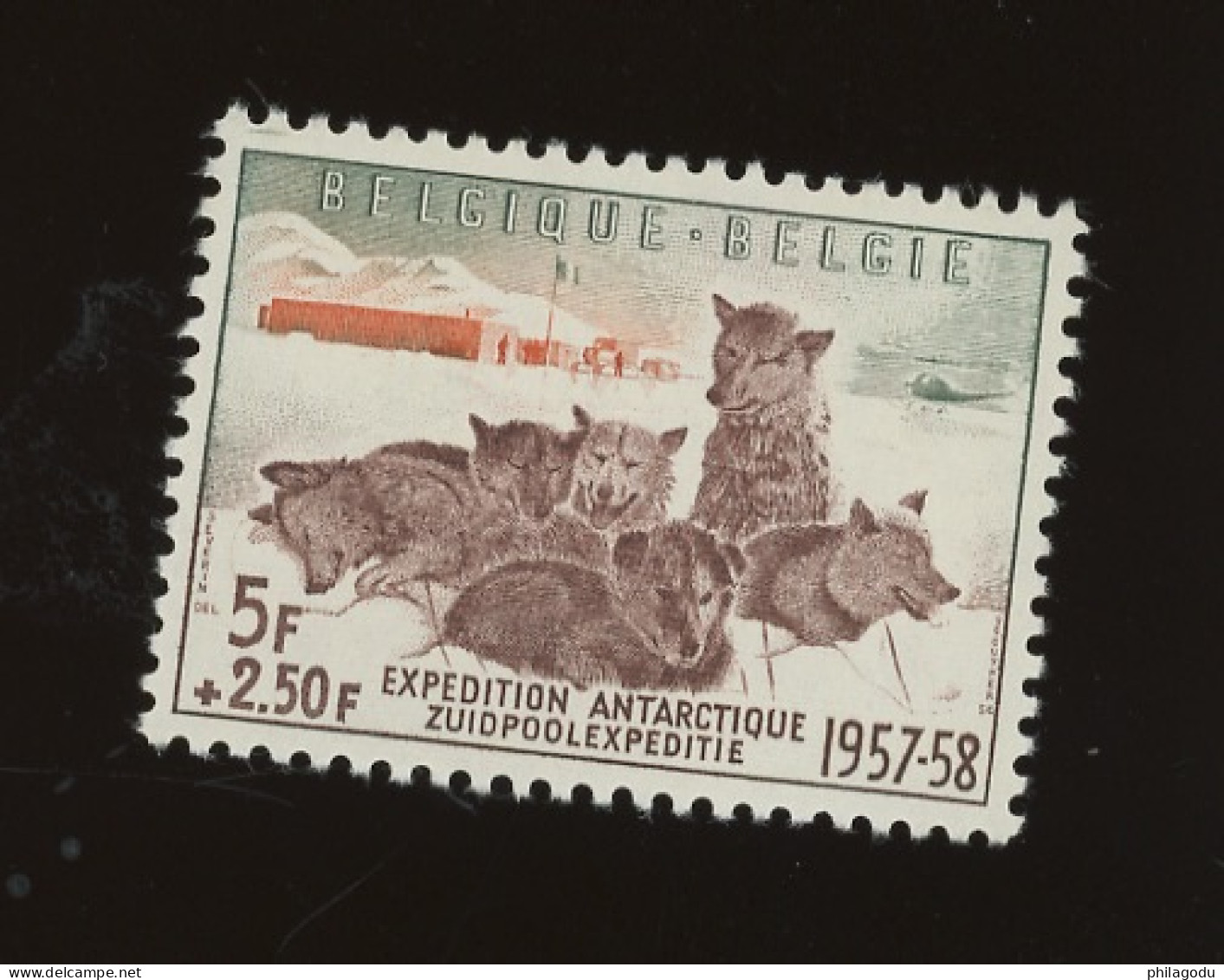 1957 ++ 1030 **. Chiens Abtartique - Unused Stamps