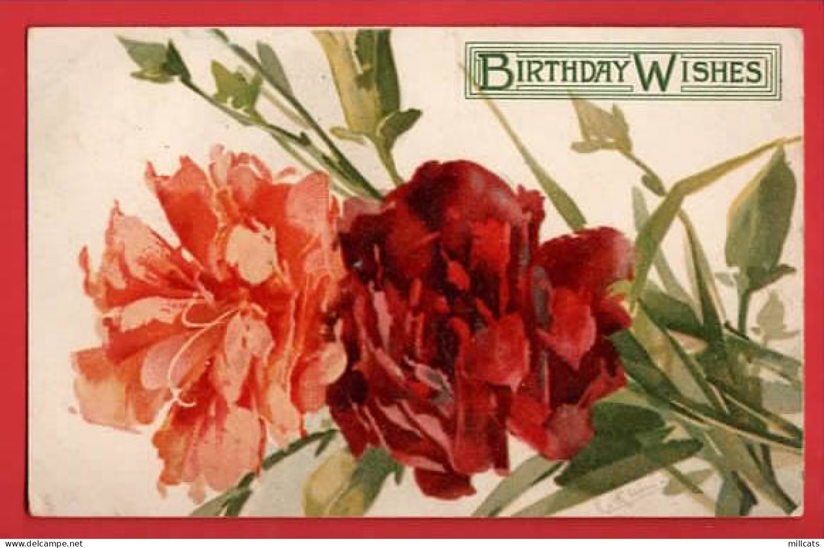 CARNATIONS     RAPHAEL TUCK ART  SERIES  Pu 1909 - Tuck, Raphael