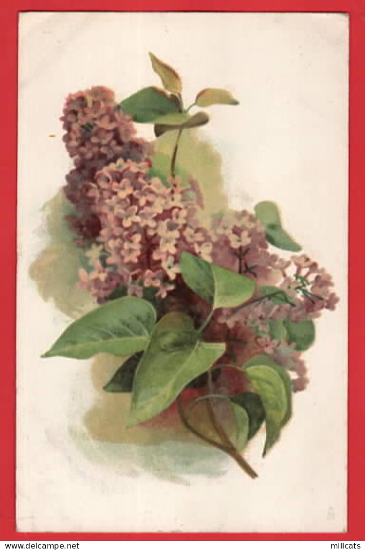 LILACS     RAPHAEL TUCK POST CARD  SERIES  Pu 1915 - Tuck, Raphael