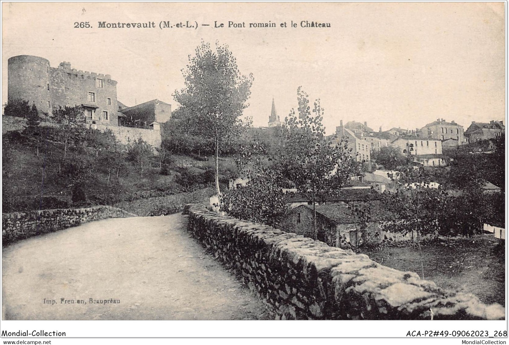 ACAP2-49-0138 - MONTREVAULT  - Le Pont Romain Et Le Chateau  - Montrevault