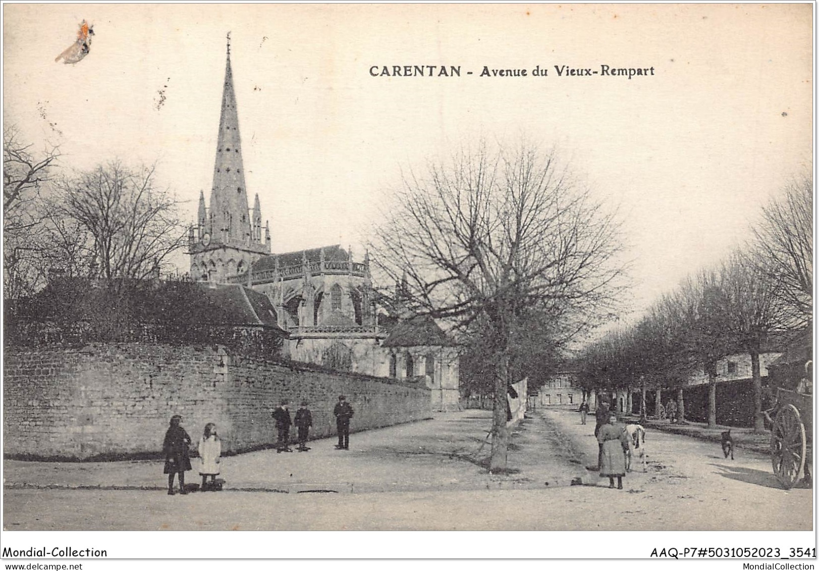 AAQP7-50-0555 - CARENTON - Avenue Du Vieux Rempart - Carentan