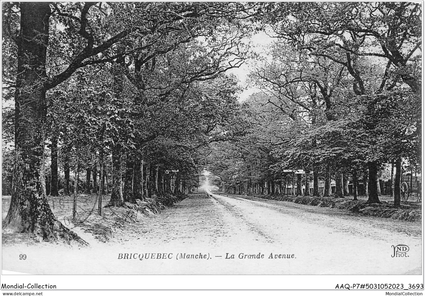 AAQP7-50-0629 - BRICQUEBEC - La Grande Avenue - Bricquebec