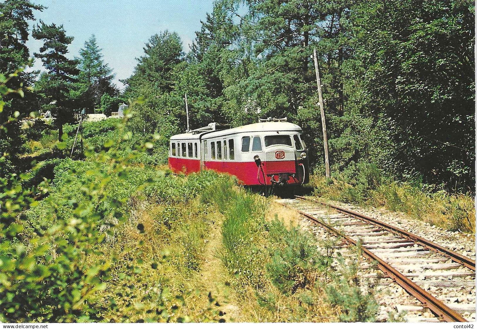 43 MONTS DU VELAY TRAIN MICHELINE CHEMINS DE FER RAIL - Eisenbahnen