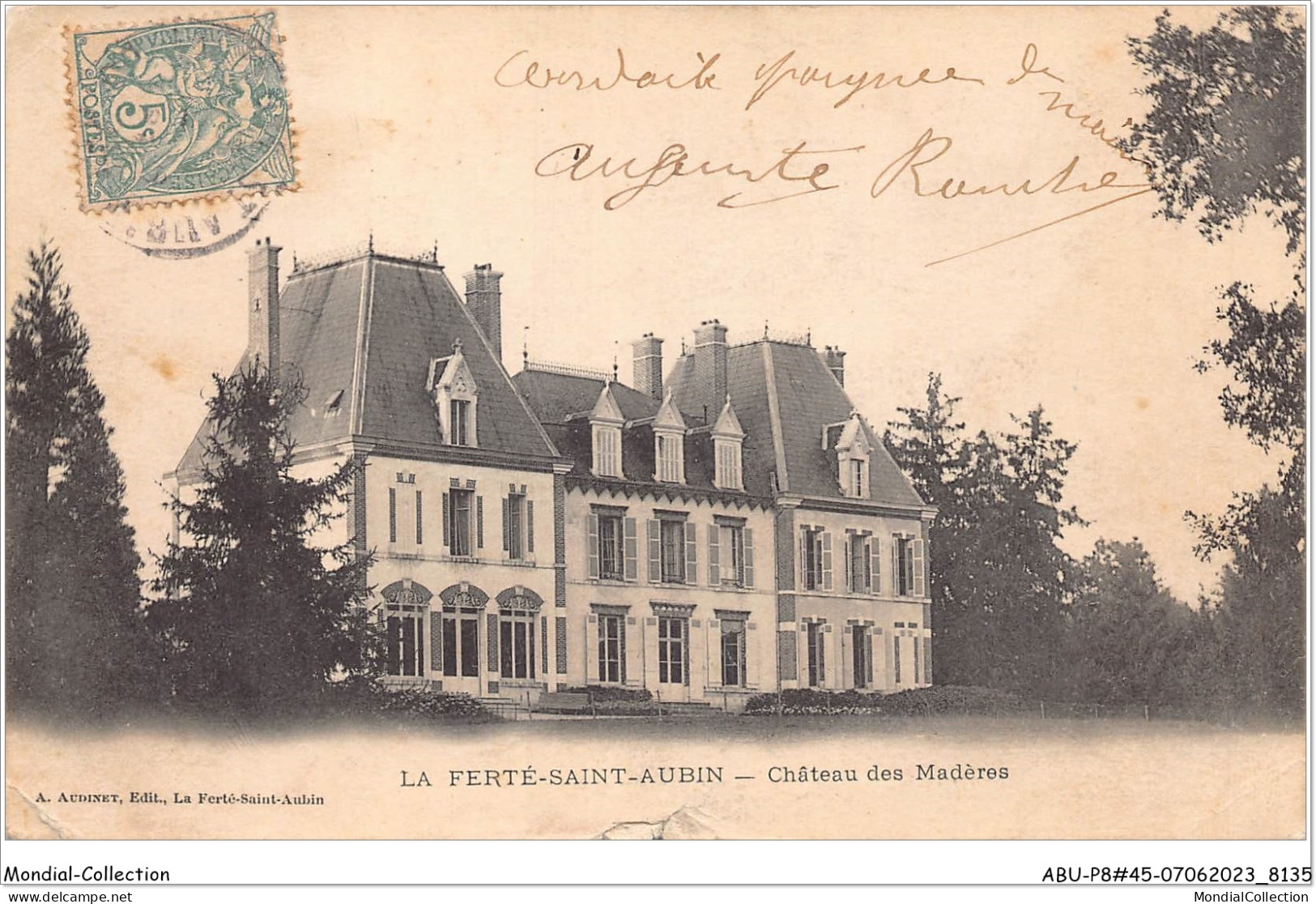 ABUP8-45-0703 - LA FERTE-SAINT-AUBIN - Chateau Des Maderes - La Ferte Saint Aubin