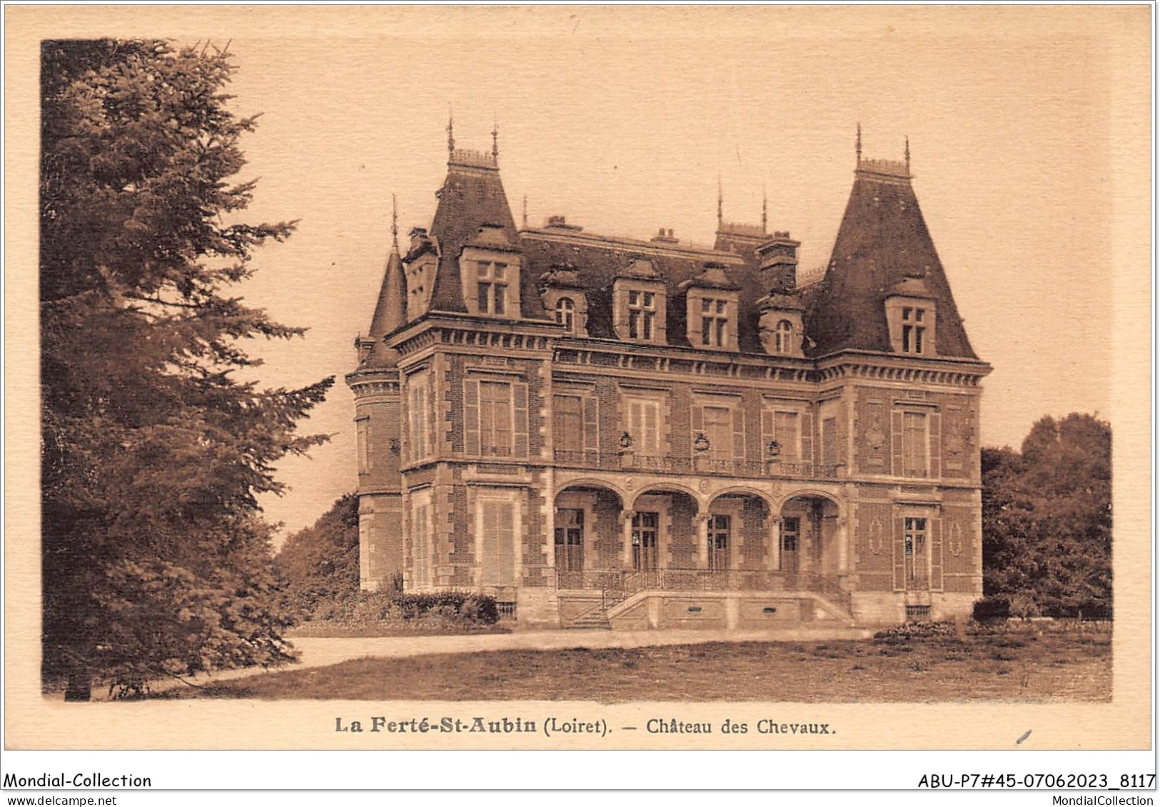 ABUP7-45-0693 - LA FERTE-SAINT-AUBIN - Chateau Des Chevaux - La Ferte Saint Aubin