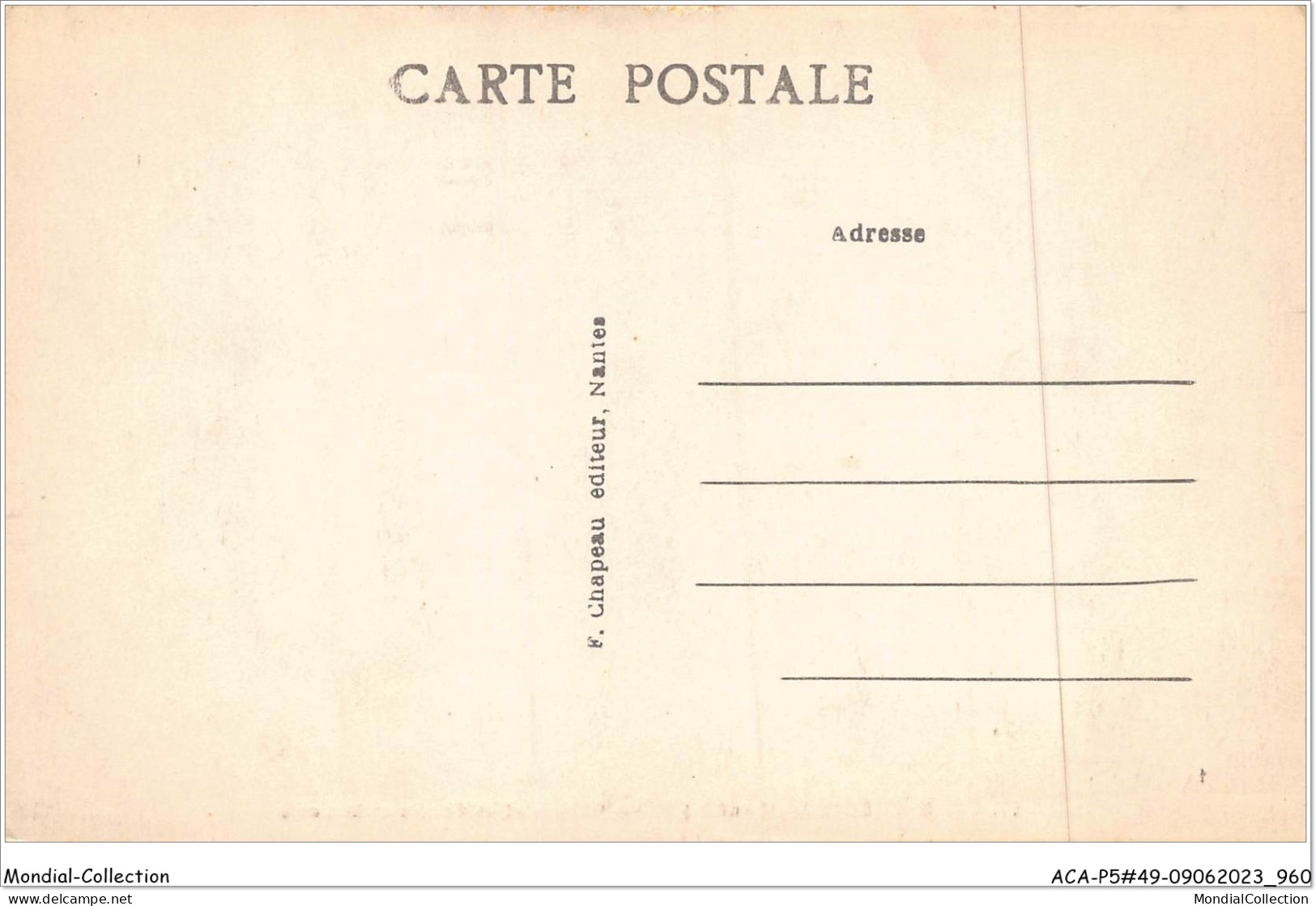 ACAP5-49-0483 - CHAMPTOCEAUX - Le Coteaux Et Le Pont Sur La Loire  - Champtoceaux